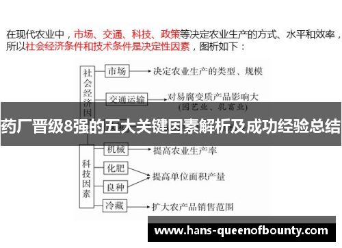 药厂晋级8强的五大关键因素解析及成功经验总结