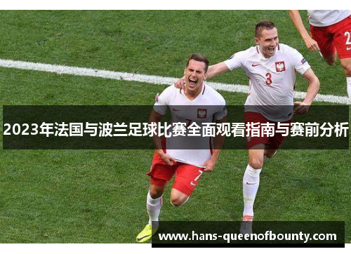 2023年法国与波兰足球比赛全面观看指南与赛前分析