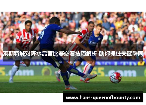 莱斯特城对阵水晶宫比赛必看技巧解析 助你抓住关键瞬间