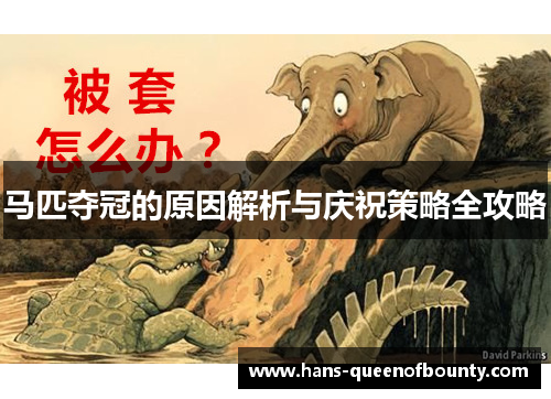 马匹夺冠的原因解析与庆祝策略全攻略